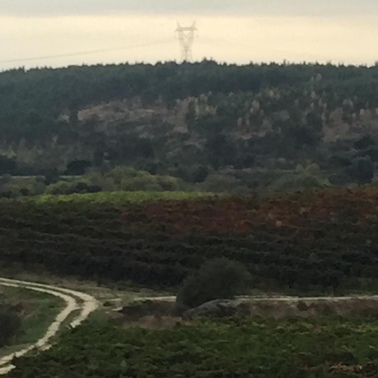 Herdade Do Gamito Villa Crato Kültér fotó